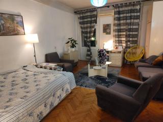 Central apartment, WALK everywhere - Belgrado - 0