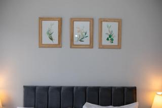 Modern Apartment Free Parking Double Bed Suite 5 - 1