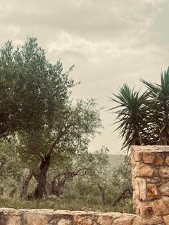 Villa Cattleya - Campofelice di Roccella - 8