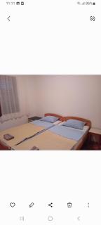 Sara apartments - Budva - 1