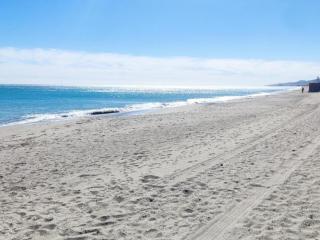 Estudio Naturista - 1