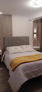 Hotel El Virrey Suite - Espinar - 8