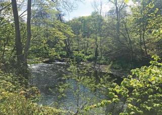Hideaway Lodges - Boʼness - 3
