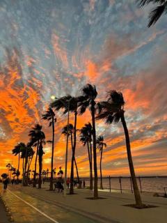 Comodo apt Cerca del Malecon 5 min caminando - 1