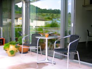 Artist's Loft zur Maloya - Ormalingen - 8