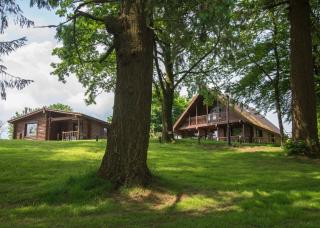 Pantglas Hall Lodges - Llanfynydd - 4