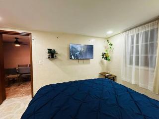 Oasis sensory Room - Market 28 - Cancún - 1