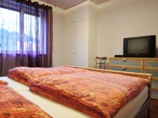 Ferienwohnung Piontek - Ebensee - 1