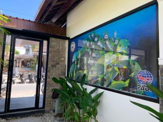 Morgan House - Kuta Lombok - 7