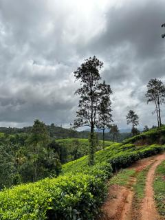 Karthika Homestay - Vythiri - 7