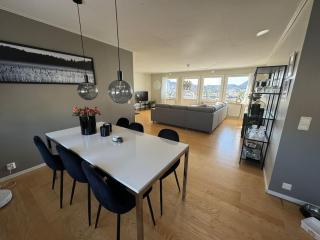Enebolig nær Telemarkskanalen med nydelig utsikt - - 2