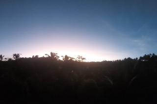 Jungle Haven Bali - JHB - 6
