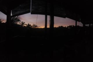 Jungle Haven Bali - JHB - 2