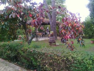 Artisti Del Cavallo Tourism - 1