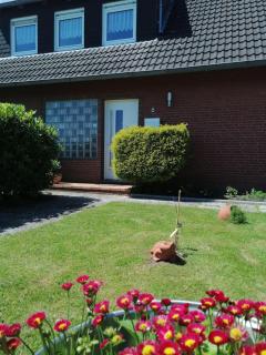 Haus-Valentin-Wohnung-1-mit-Balkon - Dornum - 7