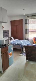 Spacious Studio - Nairobi - 1