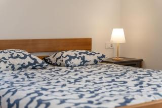 Vila Mija with two apartments- CROWONDER LUXURY RENT - Stara Novalja - 2