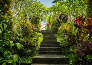 Green Coconut Cottage - Ubud - 8
