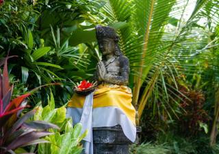 Green Coconut Cottage - Ubud - 7