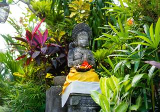 Green Coconut Cottage - Ubud - 6