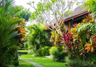 Green Coconut Cottage - Ubud - 4