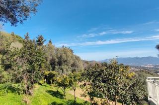 Charmant rez de villa, et sa terrasse à Ajaccio - Ajaccio - 6