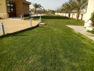 Farm Villa - Al Rama - 5
