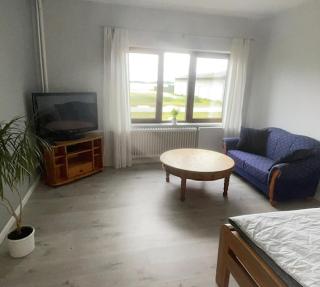 Kastanienhof Gästewohnung - Beidenfleth - 1