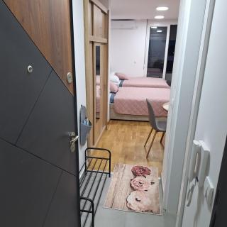 Studio apartman Delight Vrnjačka banja - Vrnjci - 6