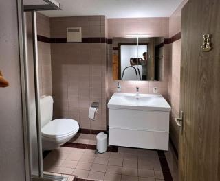 Chalet Oasis - Swiss Ski Retreat - 1