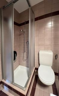 Chalet Oasis - Swiss Ski Retreat - 1