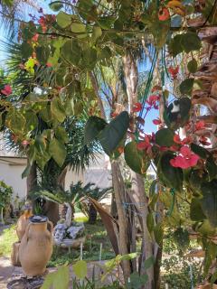 Like at Home Salento - Rustic Bungalow - 1