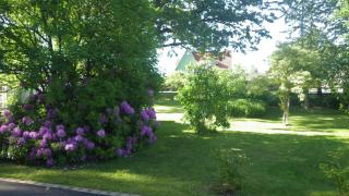 Bergsvägen Bed & Breakfast - 3