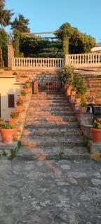 Collywood - Piano di Sorrento - 2