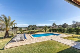 LOlivar Cánaves - 6