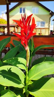 Apartmán Veronika - 8