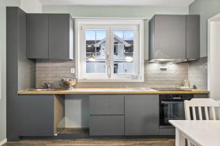 Stor & moderne leilighet i kanten av Skien Sentrum - Skien - 0