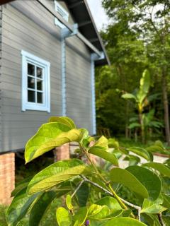 Eco House - Batoemi - 0
