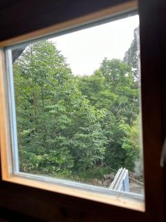 Eco House - Batoemi - 5