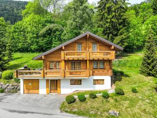 Chalet Edelweiss by Interhome - Saclentse - 0