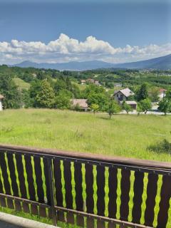 Zelena meraja - Sarajevo - 8