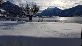 Ferienwohnungen am See _ Hinterseer - Schliersee - 7