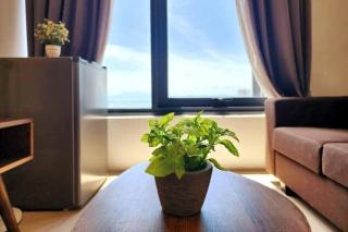 Seaview Studio Tropicana 218 Macalister Georgetown - George Town - 8