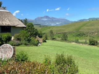 Champagne Lane Resort - Champagne Valley - 6