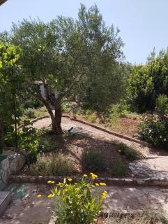 Apartmani Žeravica - Srima - 8