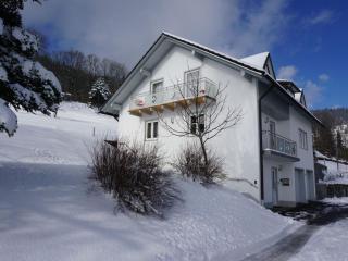 Ferienwohnung Jobst Daxstein - Zenting - 6
