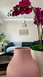Trion Ierarchon Modern 3 bdr apt in Petralona - Athens - 4