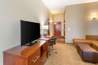 Comfort Suites Near Denver Downtown - Denver - 4