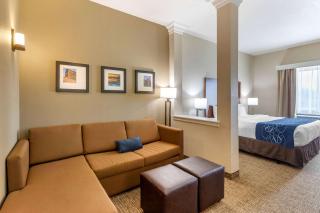 Comfort Suites Near Denver Downtown - Denver - 3