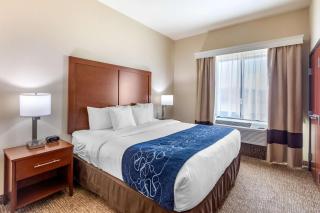 Comfort Suites Near Denver Downtown - Denver - 6